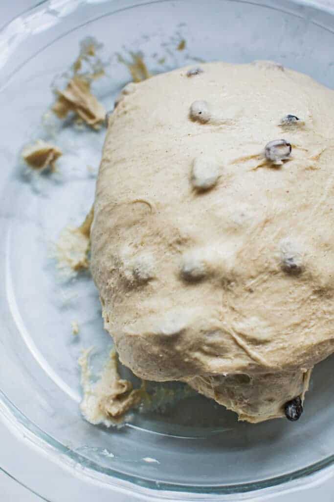 smoother dough with raisins 