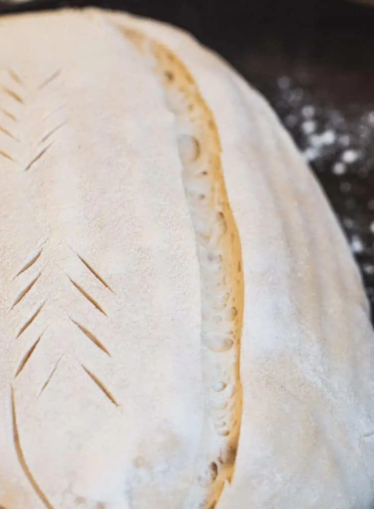 A close up of an unbaked sourdough, showing a cut through it with bubbles in the dough