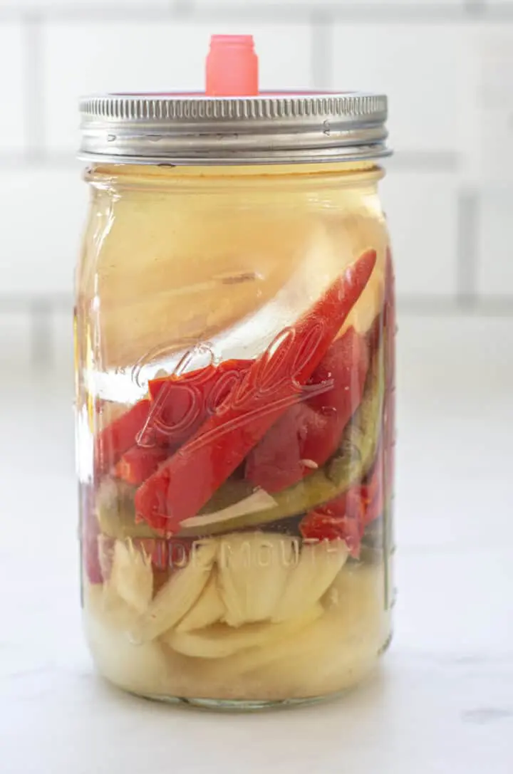 A jar filled with brine and onions, red and green chilli pieces and garlic. The colours of the vegetables are dull