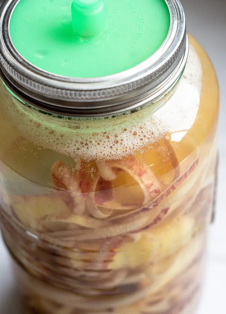 a close up to a jar of apple peels in water, with bubbles and a green airlock