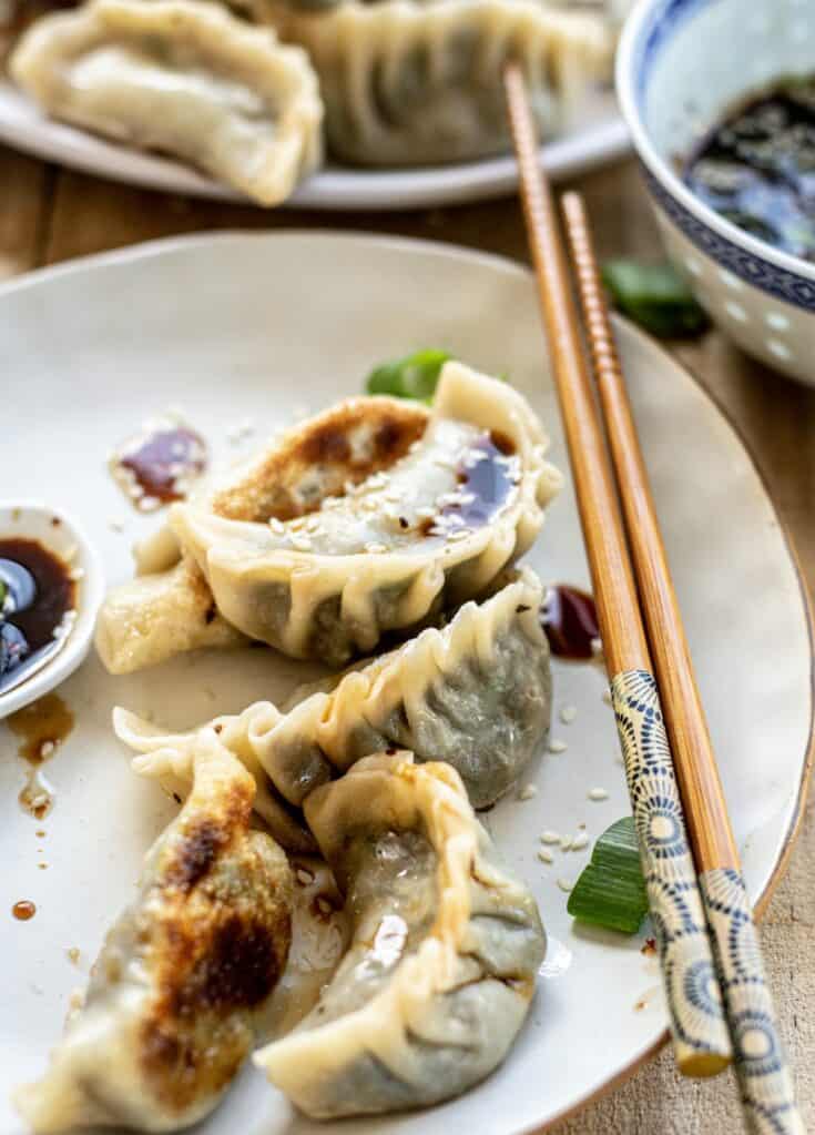 a side view of fried vegetable potstickers with chops sticks